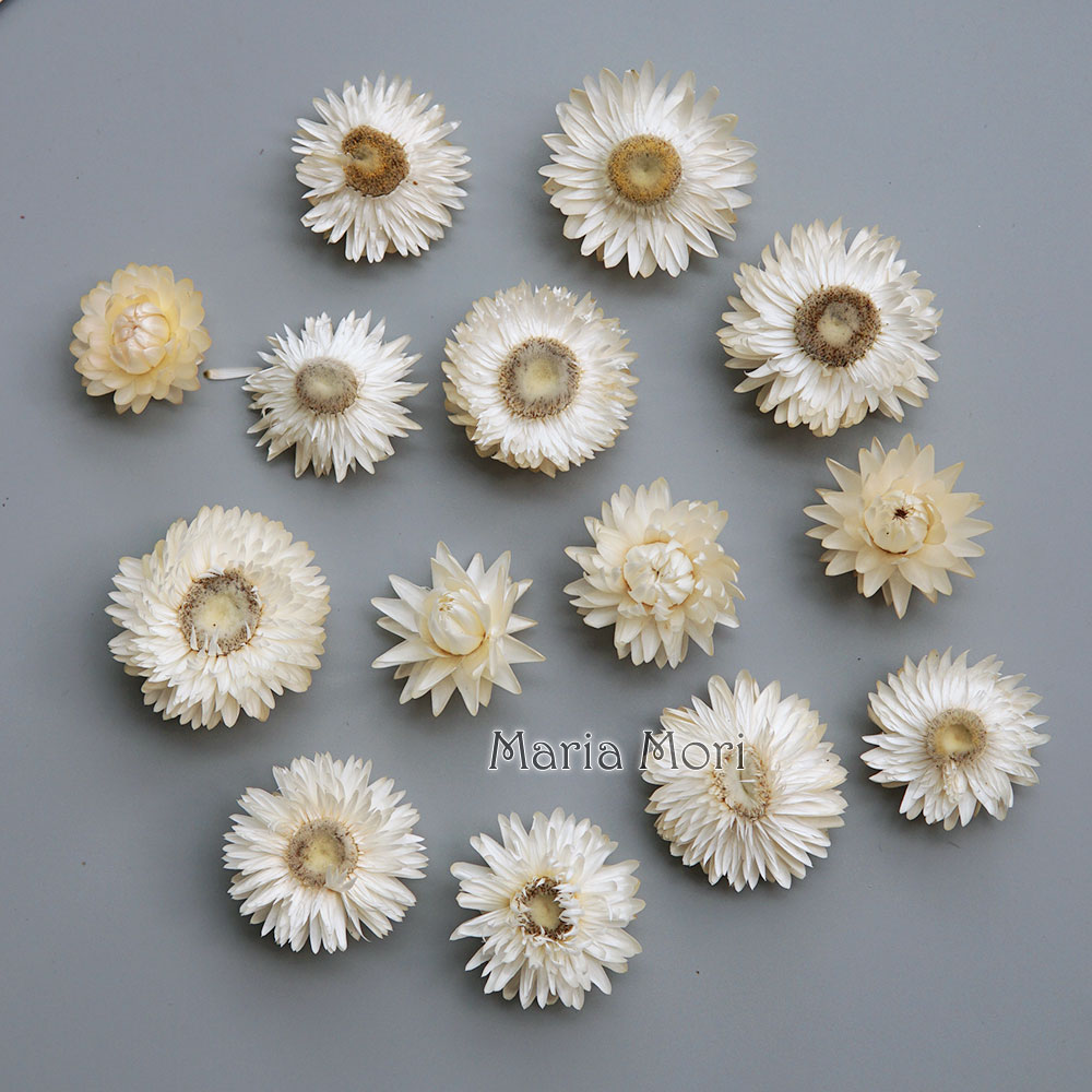 Natural Dried Colorful Chrysan - Baby Products For 1 Year Old 评论和价格