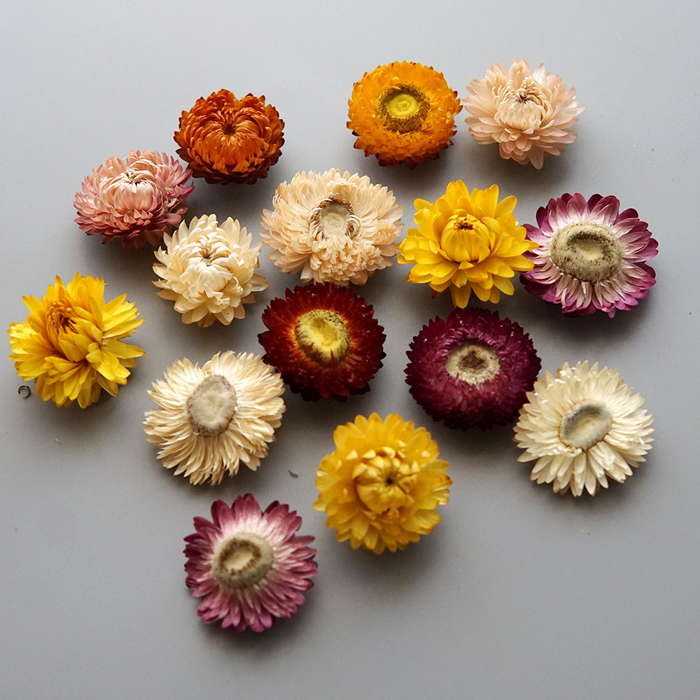 Natural Dried Colorful Chrysan - Baby Products For 1 Year Old 评论和价格