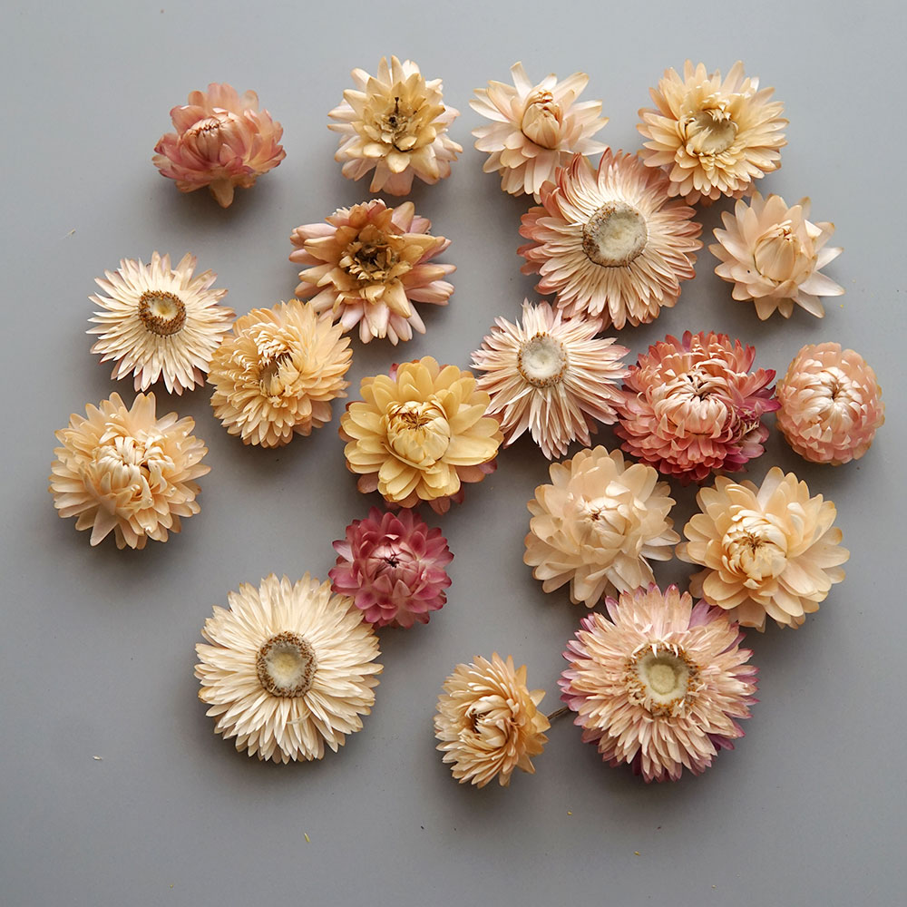 Natural Dried Colorful Chrysan - Baby Products For 1 Year Old 评论和价格